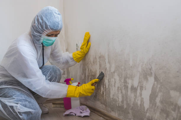 Best Residential Mold Inspection & Testing  in Moorhead, MN