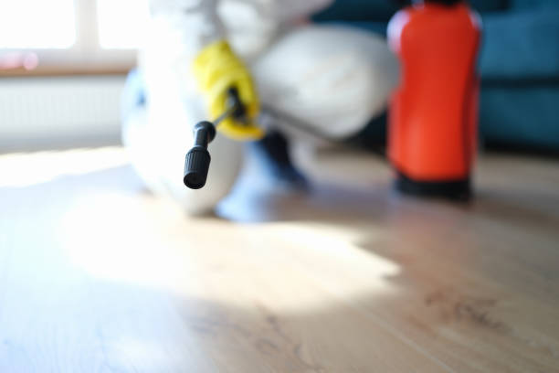 Biohazard Mold Removal in Moorhead, MN