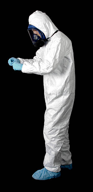 Best Basement Mold Removal  in Moorhead, MN