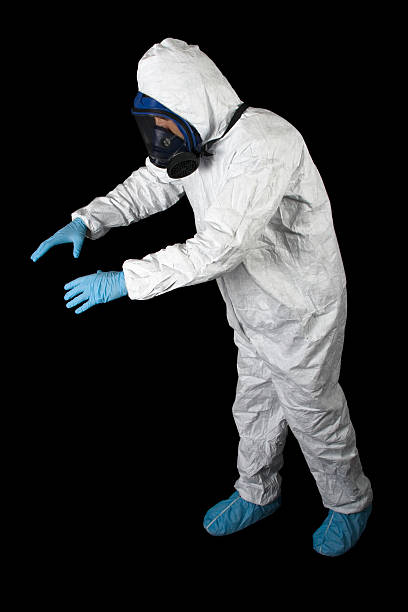 Best Attic Mold Removal  in Moorhead, MN