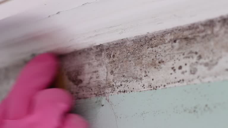 Asbestos and Lead Testing During Mold Inspection in Moorhead, MN